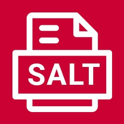 internal-systems-salt-logo